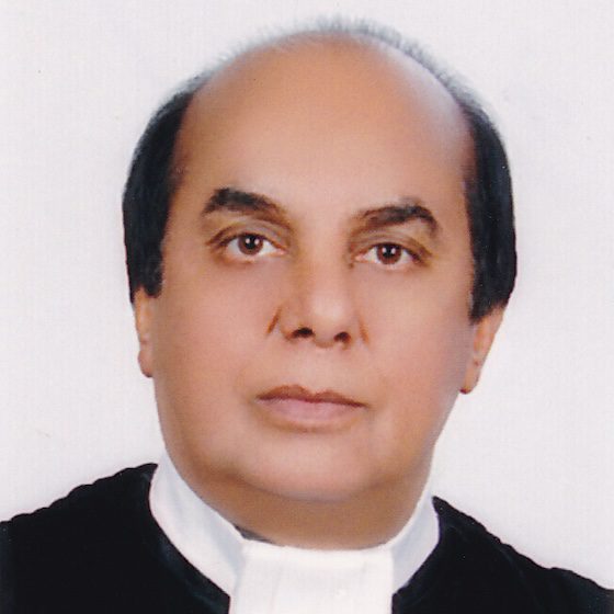 وکیل محمد عارفی