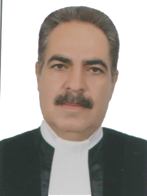 محمدرضا رجبی حسین آبادی