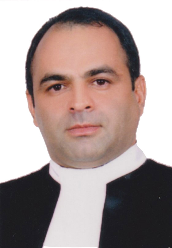 محمد هادی نادری