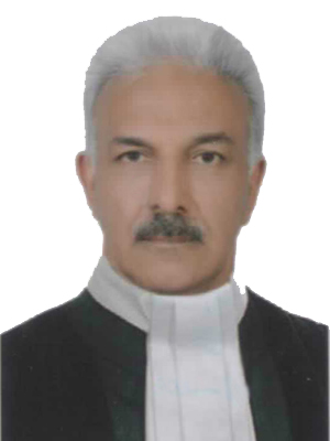 محمد علی عظیمی